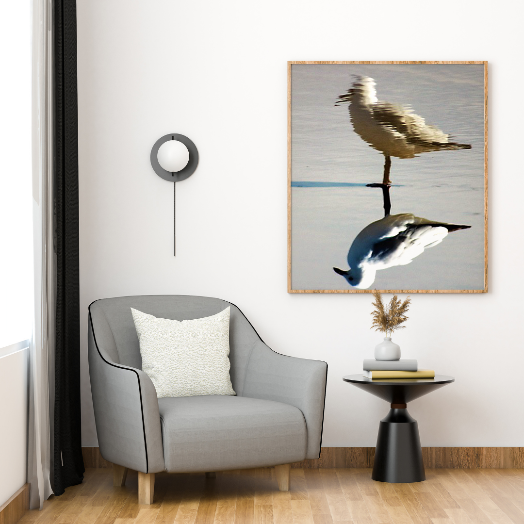 Seagull Reflection original abstract contextualised office art modern decor photo print by Blair Montague Drake